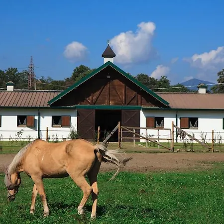 Hostel Del Quadrifoglio