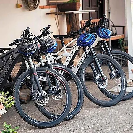 Del Quadrifoglio Hostel